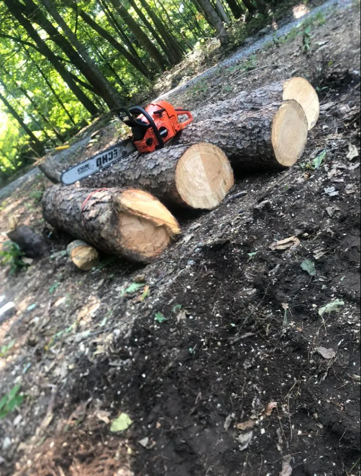 Custom lawn mowing service in Warrenton, VA - Mountainside Property Services