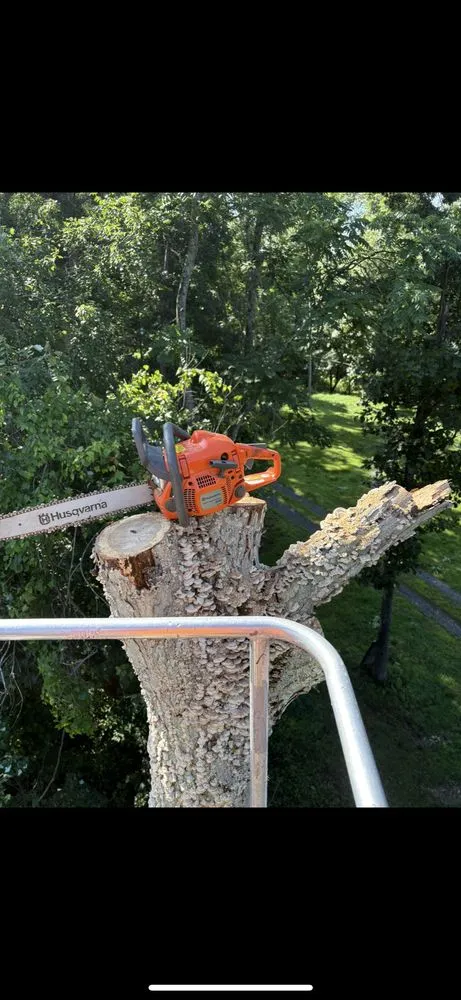 Custom garden landscaping in Warrenton, VA - Mountainside Property Services