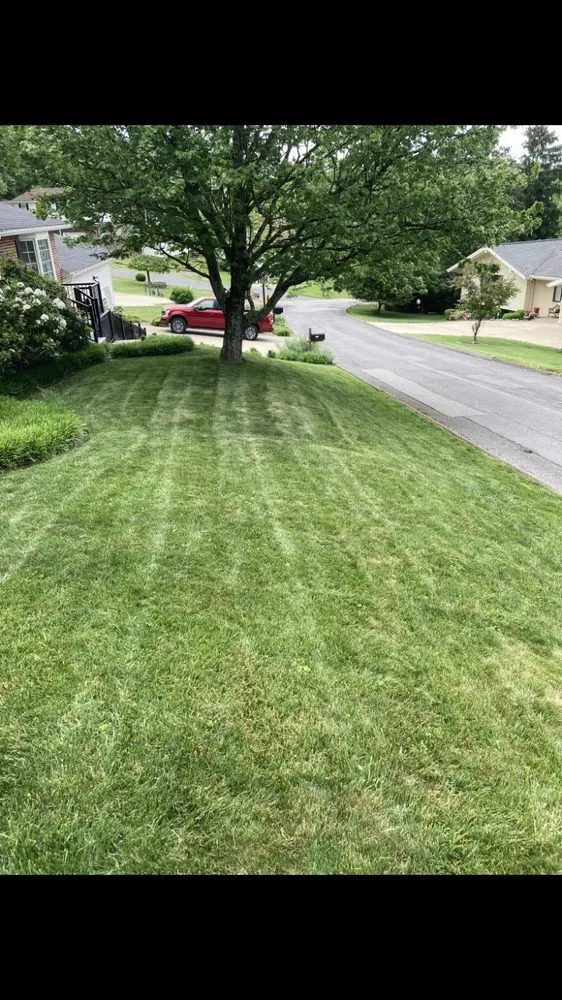 Local lawn care service with custom design across Morgantown, WV - Mountaintop Lawn & Mulching