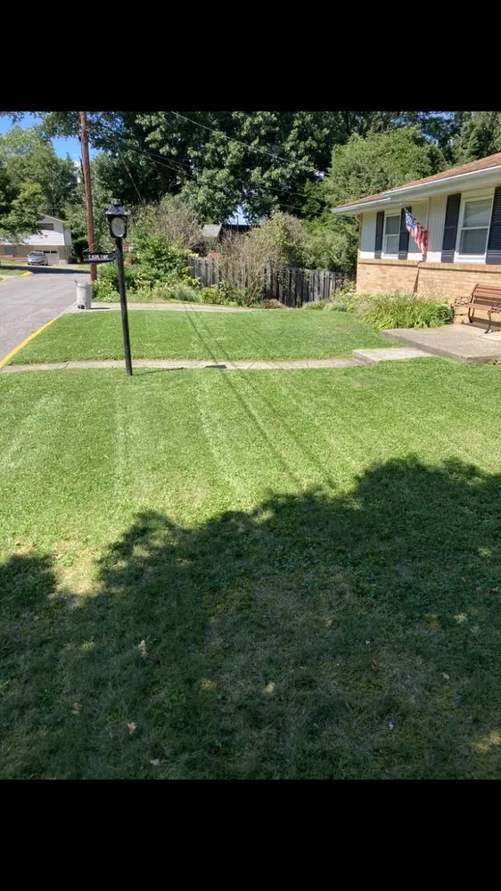 Reliable yard cleanup service in Morgantown, WV - Mountaintop Lawn & Mulching