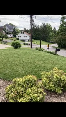 Mountaintop Lawn & Mulching Logo