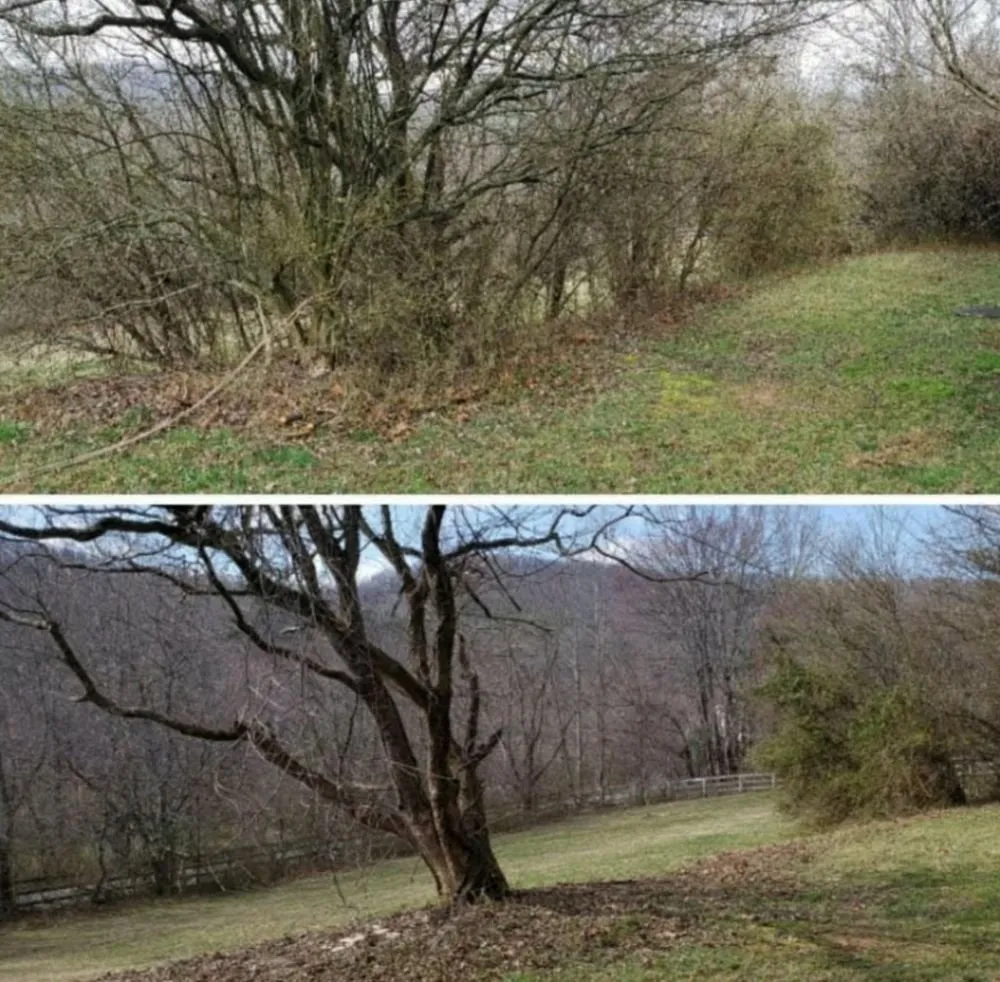 Reliable garden landscaping in Asheville, NC - Mountaintop Lawn and Landscaping