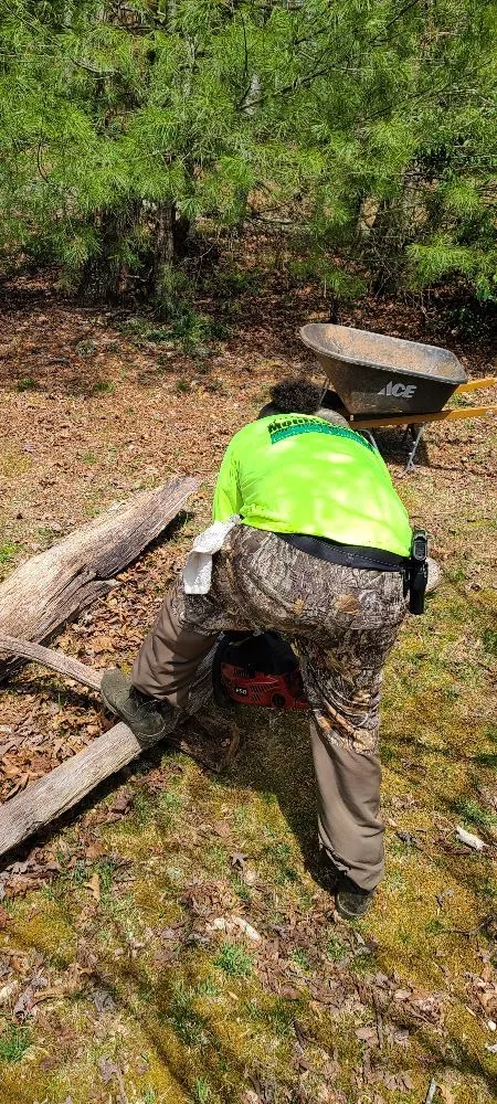 Top-rated yard cleanup service in Asheville, NC - Mountaintop Lawn and Landscaping