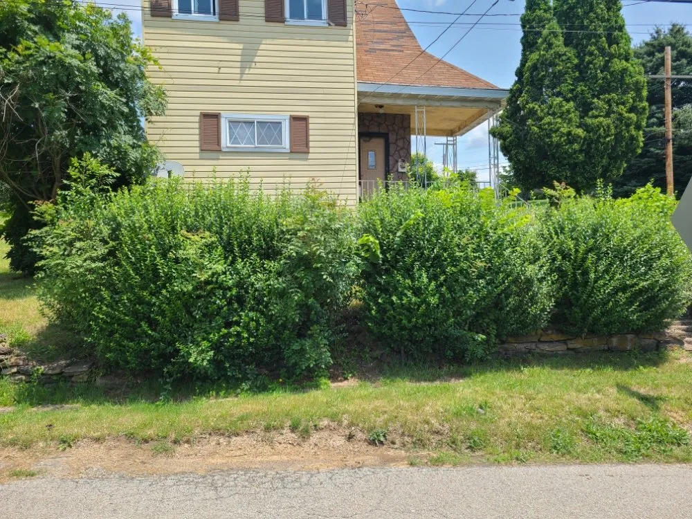 Trusted landscape design in Pitcairn, PA - MountainTop Maintenance