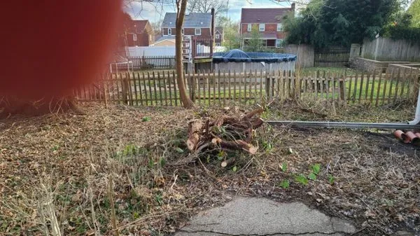 MountainTop Maintenance