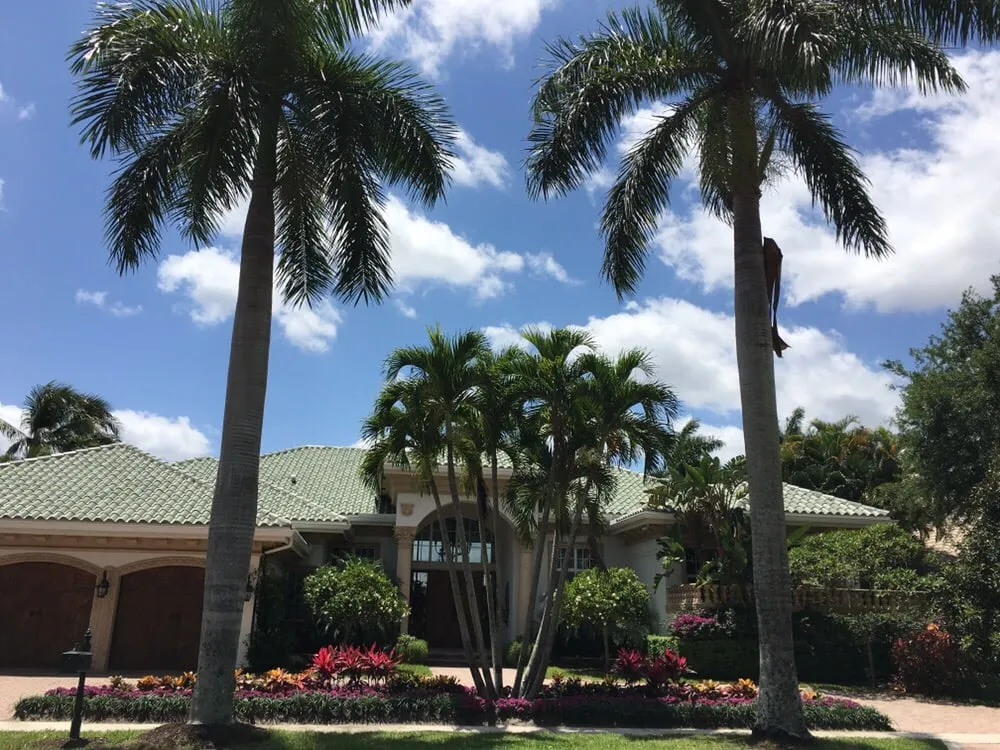 Reliable yard cleanup service experts serving Boca Raton, FL - Mountcastle Apriorika landscape