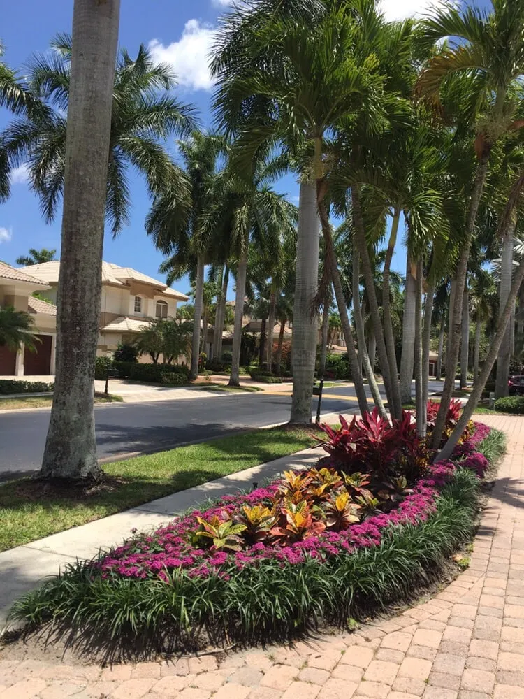 Top-rated yard cleanup service in Boca Raton, FL - Mountcastle Apriorika landscape