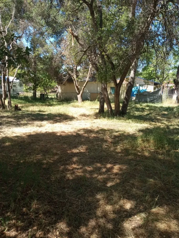 Reliable landscape installation experts serving Clearlake, CA - Mouses Landscaping