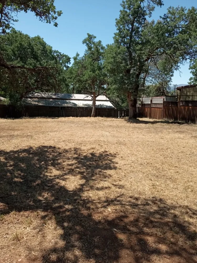 Trusted lawn care service in Clearlake, CA - Mouses Landscaping