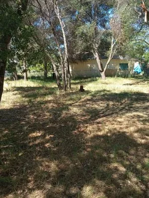 Mouses Landscaping Logo