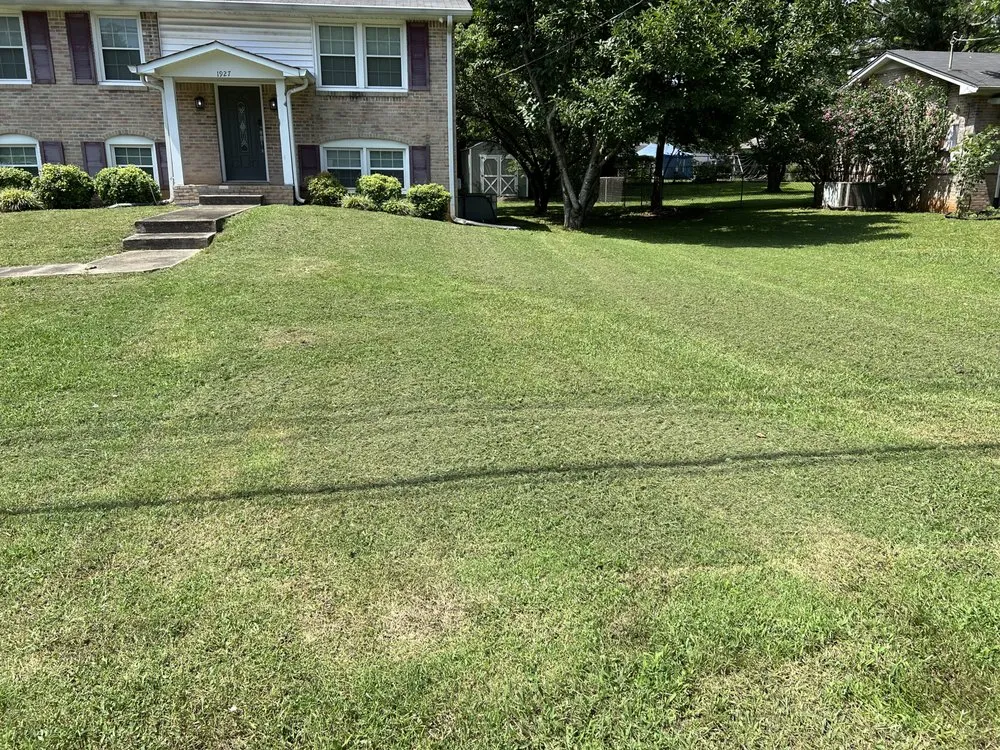 Reliable landscape design in Murfreesboro, TN by Moussa Enterprises Lawn Care Services