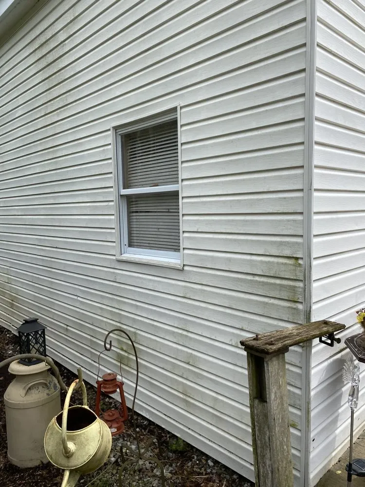 Trusted yard cleanup service in New Pekin, IN by Mousty Landscaping