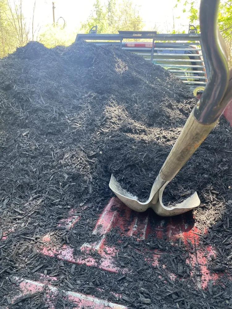 Top-rated yard cleanup service for beautiful yards in New Pekin, IN by Mousty Landscaping