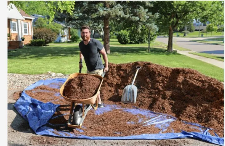 Top-rated landscaping services in Williamson, AZ by Moving Dirt