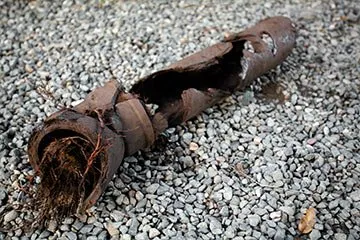 Top-rated yard cleanup service in Port Townsend, WA by Moving Earth Excavation