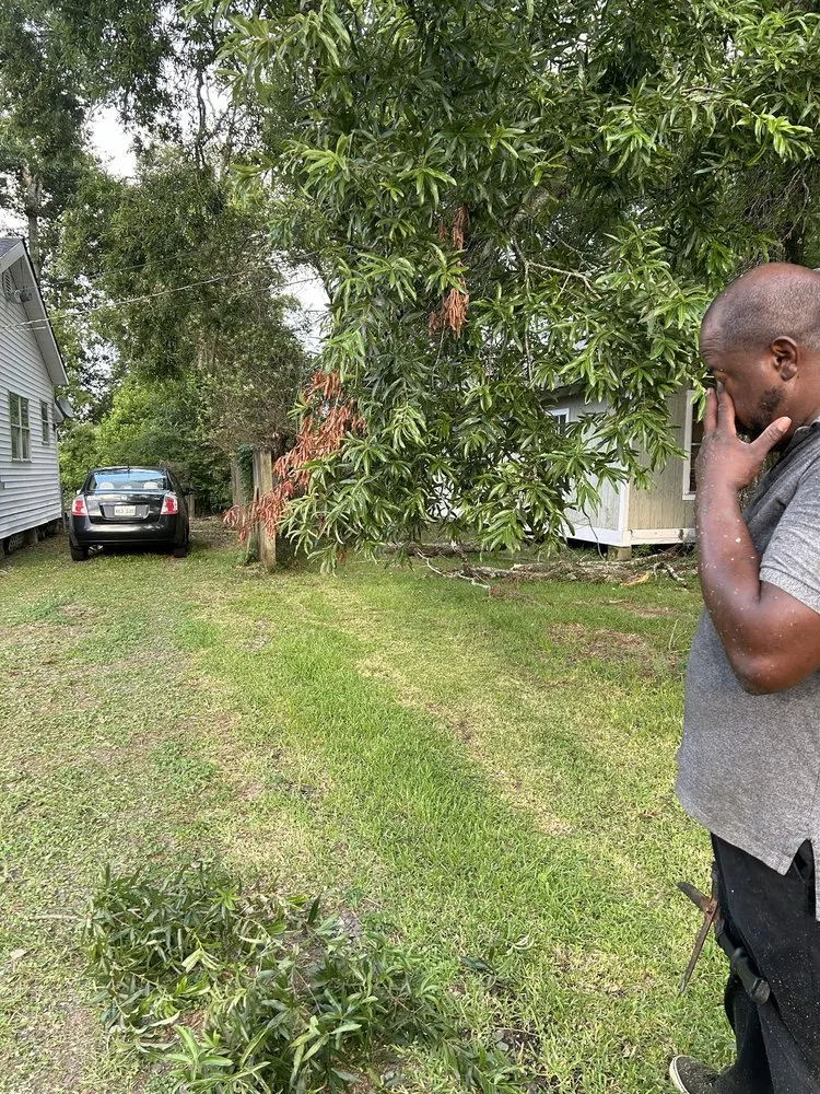 Local landscape installation in Ponchatoula, LA - Moving Forward And Giving Second Chances