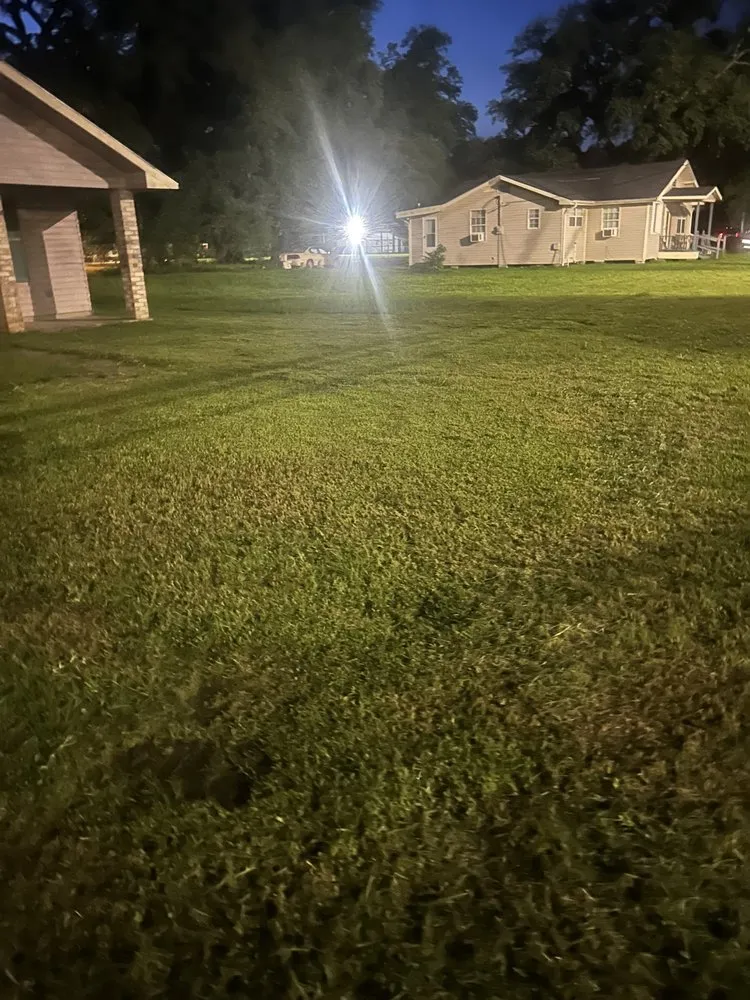 Top-rated residential landscaping in Ponchatoula, LA - Moving Forward And Giving Second Chances