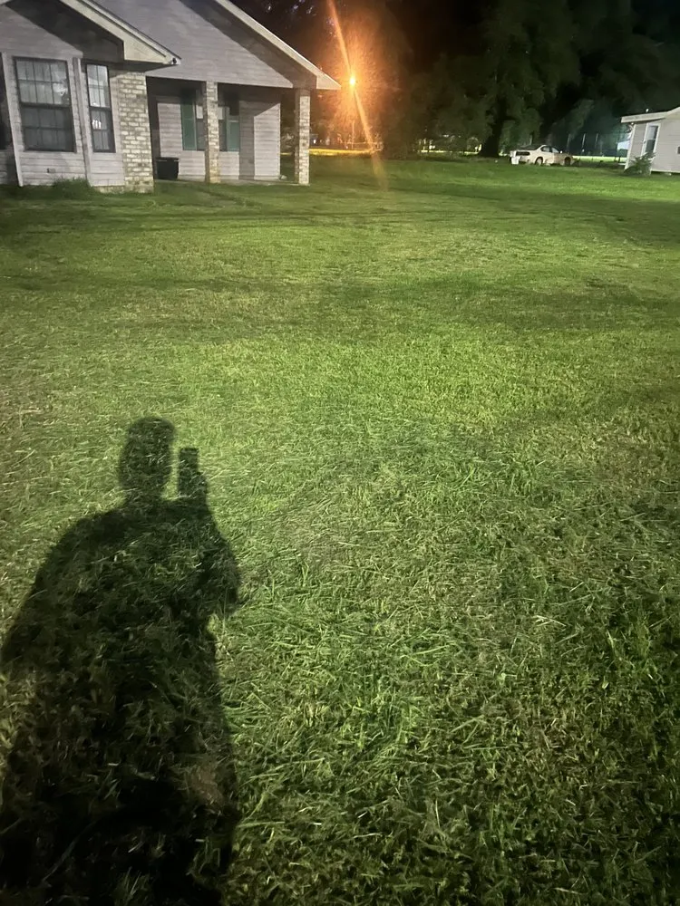 Professional yard cleanup service in Ponchatoula, LA - Moving Forward And Giving Second Chances