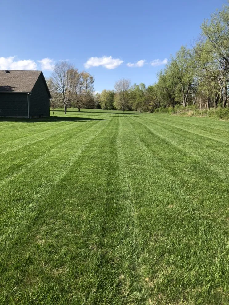 Reliable landscaping services for homes in Elizabethtown, KY by Mow - Right