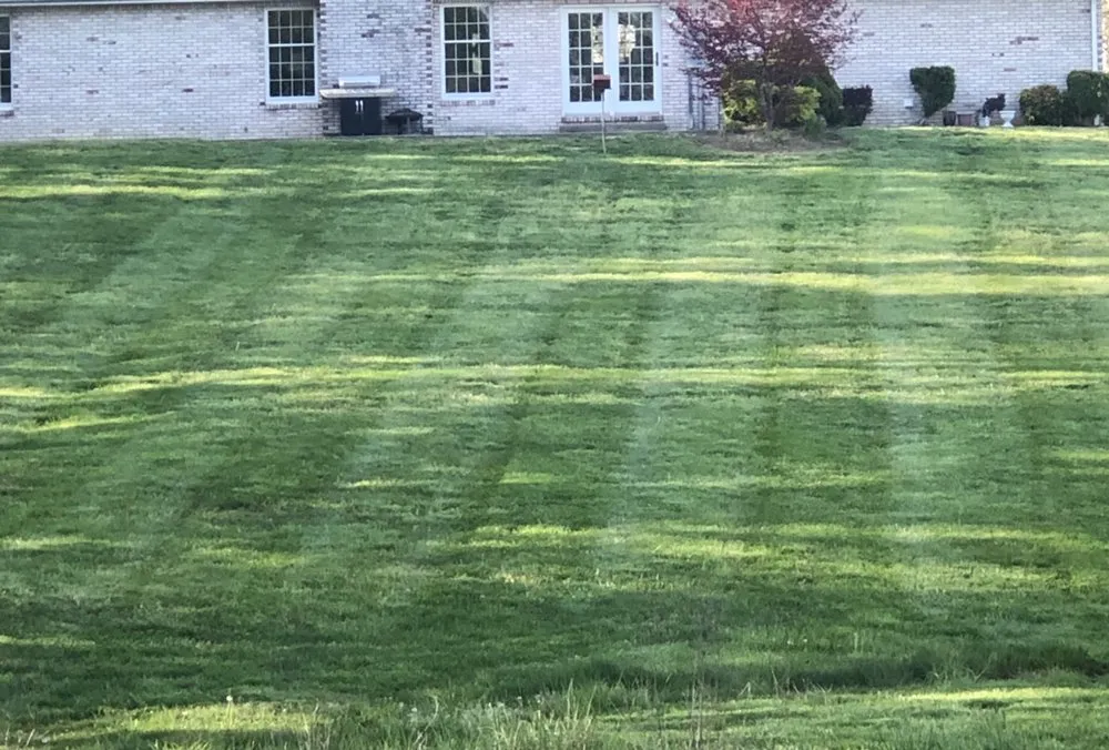 Local lawn mowing service experts serving Elizabethtown, KY - Mow - Right