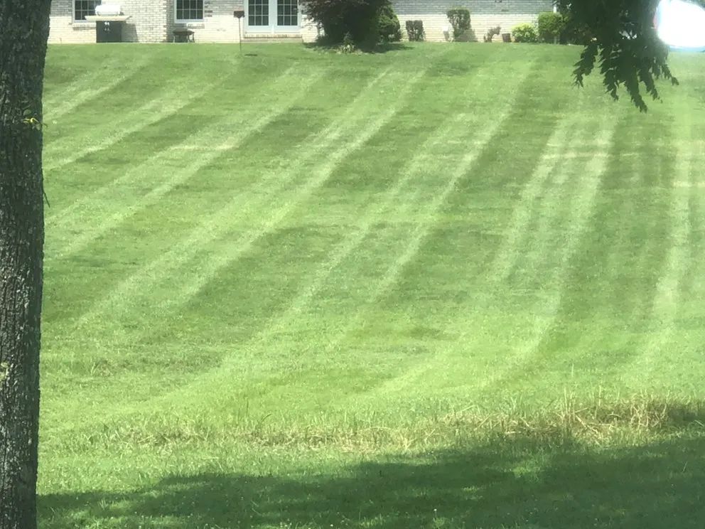 Reliable lawn mowing service experts serving Elizabethtown, KY - Mow - Right