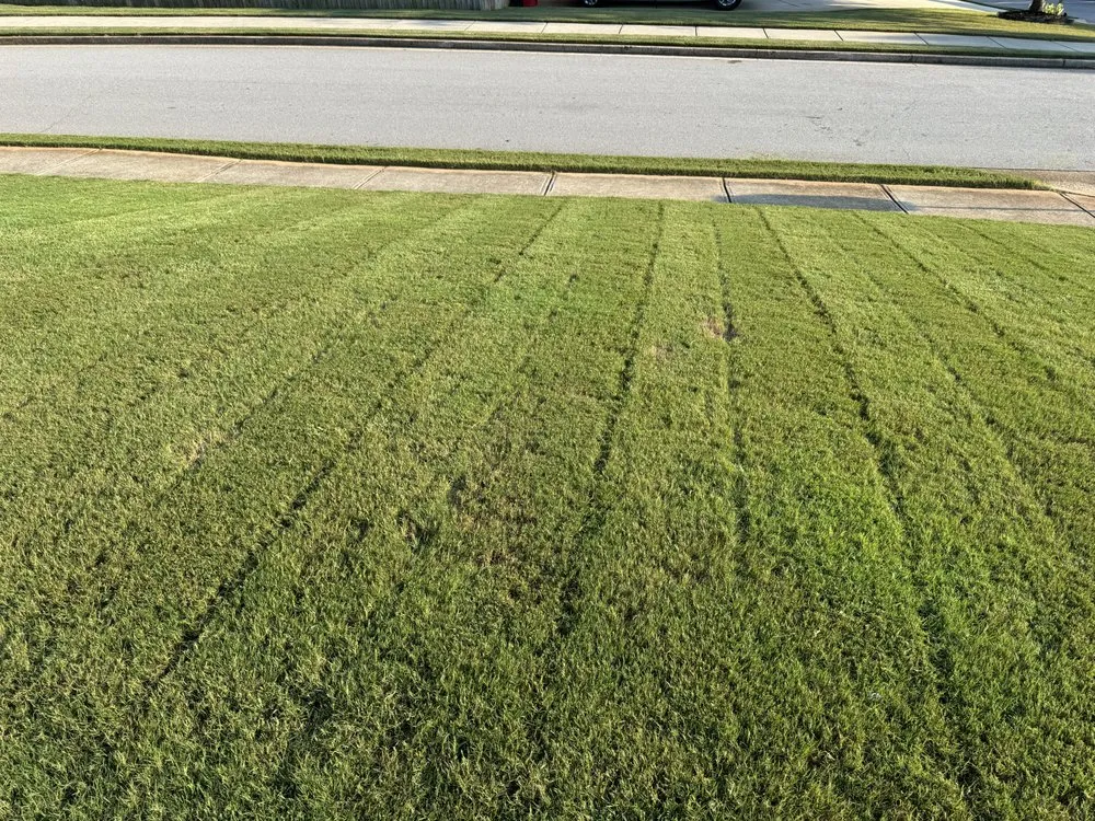 Professional lawn mowing service in Braselton, GA by Mow & Behold Landscaping