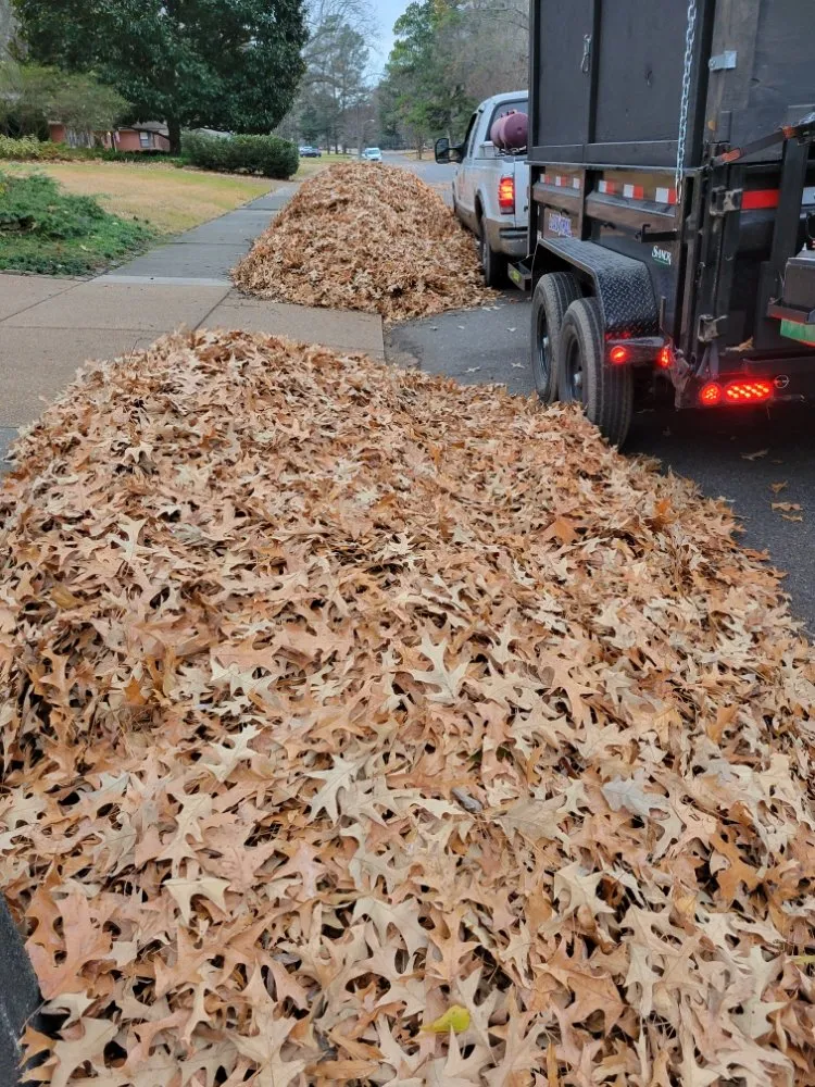 Affordable landscaping services in Bartlett, TN - Mow & Blow Lawn Service