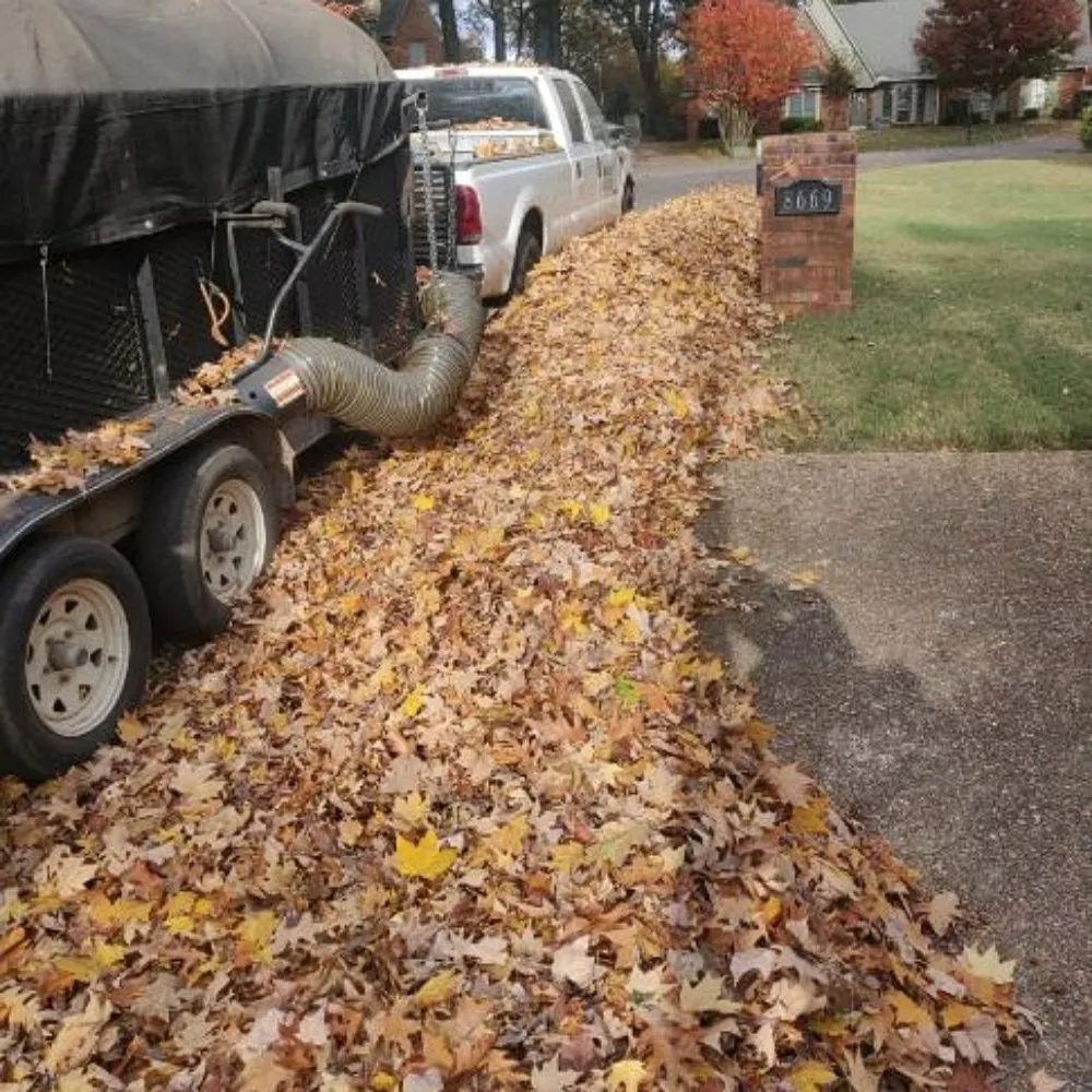 Professional outdoor landscaping experts serving Bartlett, TN - Mow & Blow Lawn Service