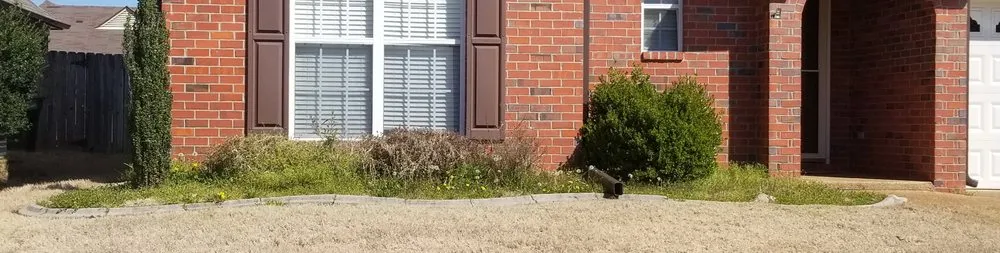 Professional yard maintenance in Bartlett, TN - Mow & Blow Lawn Service