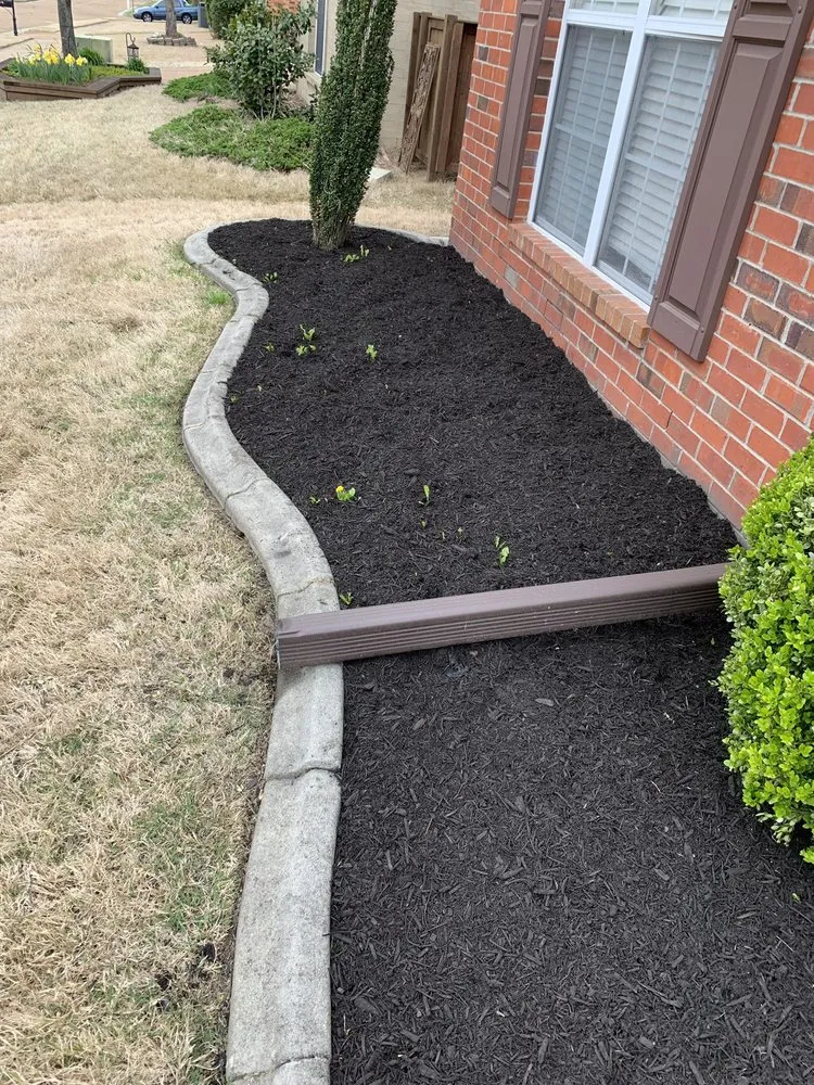 Top-rated yard maintenance experts serving Bartlett, TN - Mow & Blow Lawn Service