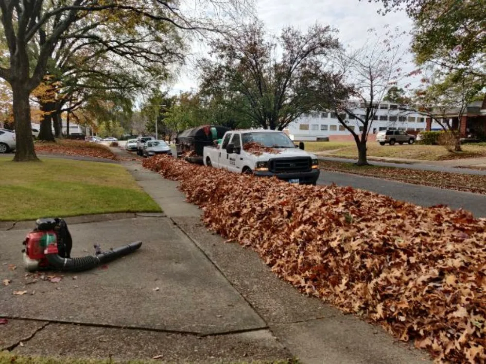 Trusted landscaping services for residential properties across Bartlett, TN - Mow & Blow Lawn Service