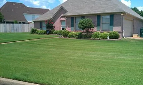 Expert lawn mowing service experts serving Bartlett, TN - Mow & Blow Lawn Service