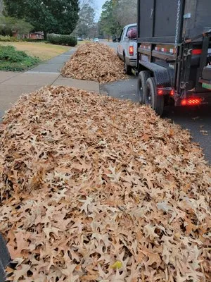 Mow & Blow Lawn Service