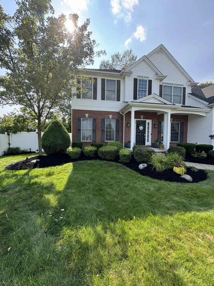 Trusted yard cleanup service for beautiful yards in Lockport, NY by Mow & Blow