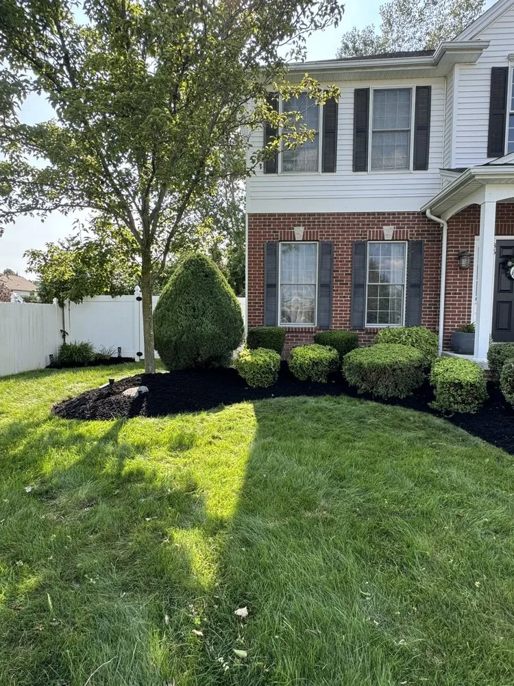 Professional landscape design experts serving Lockport, NY - Mow & Blow