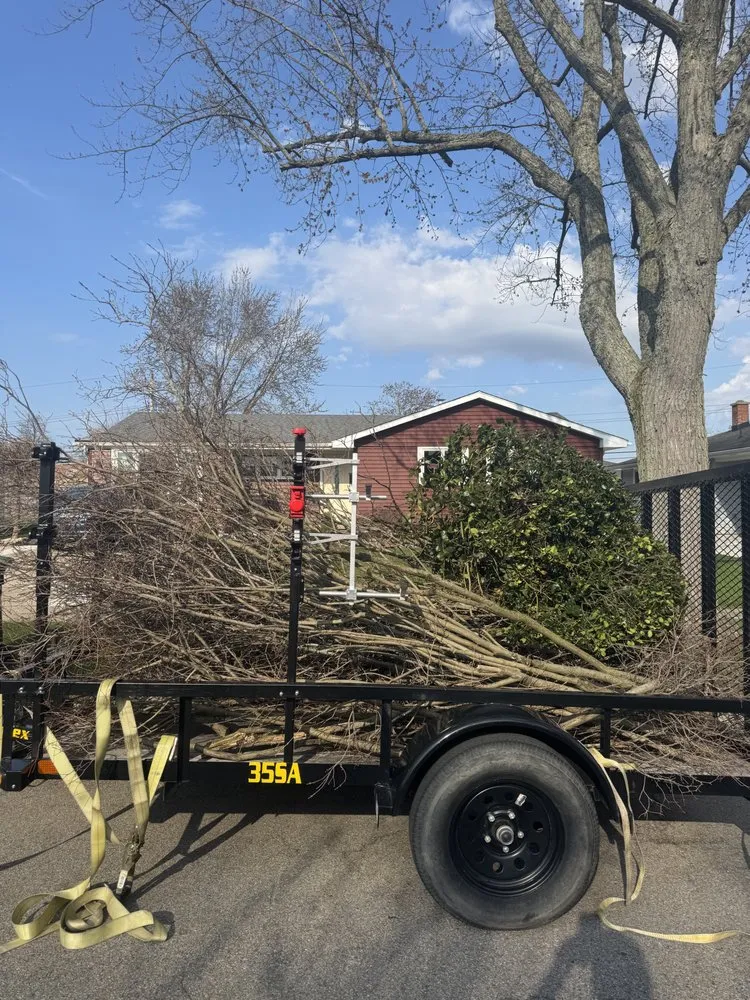 Affordable lawn care service in Lockport, NY - Mow & Blow