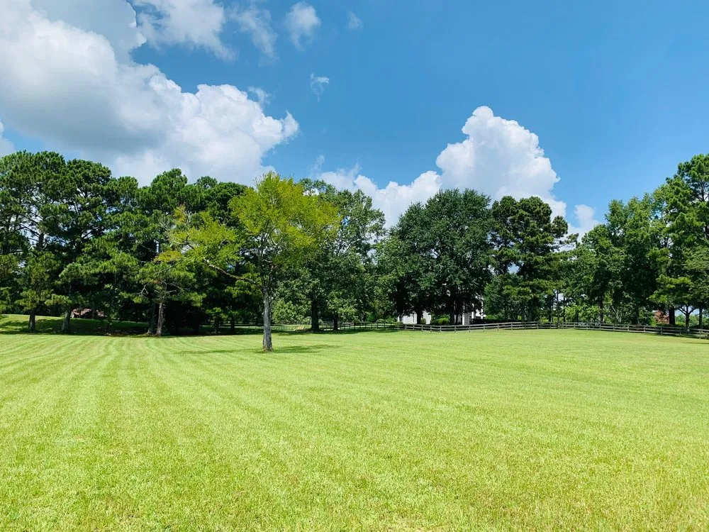 Affordable lawn care service for homes across Ridgeland, MS - Mow & Blow