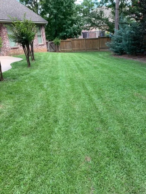 Expert yard cleanup service in Ridgeland, MS by Mow & Blow