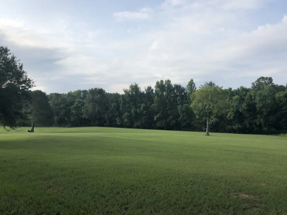 Affordable outdoor landscaping for outdoor upgrades across Ridgeland, MS - Mow & Blow