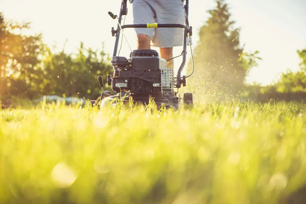 Reliable landscape design in Bellingham, WA - Mow & Go Lawn Care