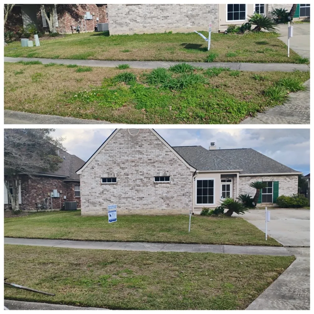 Expert landscaping services for beautiful yards across Baton Rouge, LA - Mow & Go Lawn Service