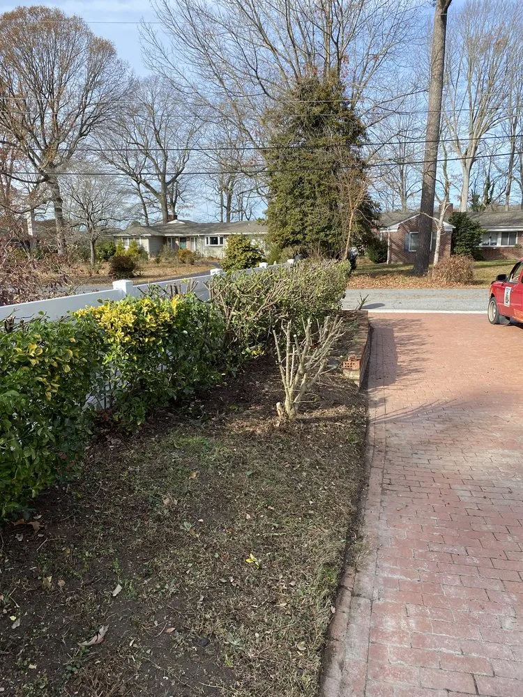 Trusted yard cleanup service for residential properties in Lewes, DE by Mow & Go