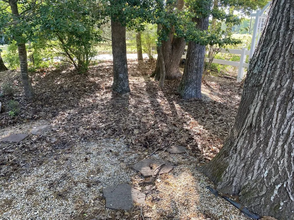 Trusted lawn mowing service with custom design in Lewes, DE by Mow & Go