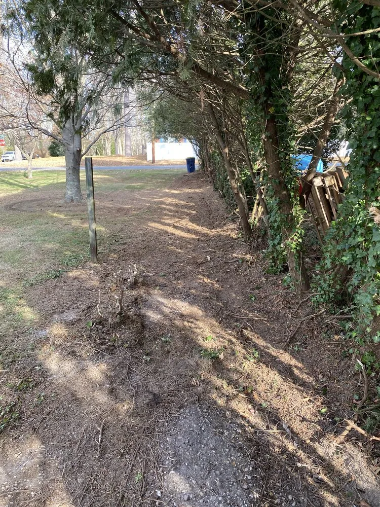 Expert lawn care service for year-round maintenance in Lewes, DE by Mow & Go