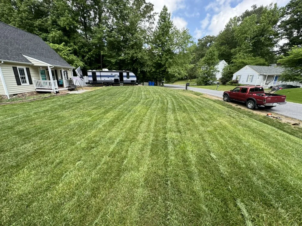 Top-rated landscaping services experts serving Midlothian, VA - Mow & Go