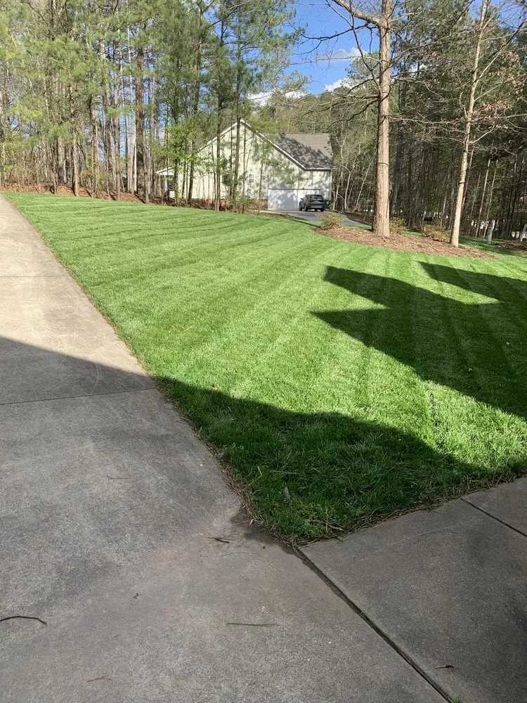 Affordable landscape design in Newton, NC by Mow & Go