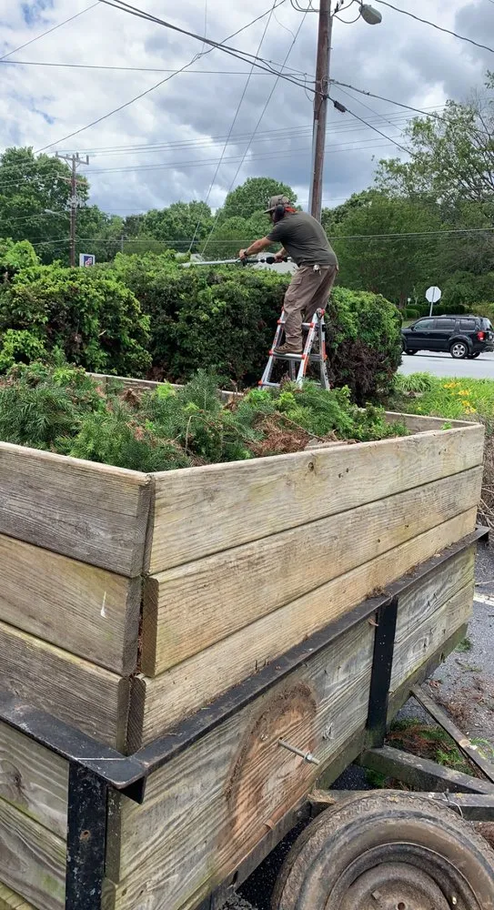 Affordable residential landscaping for year-round maintenance in Newton, NC by Mow & Go