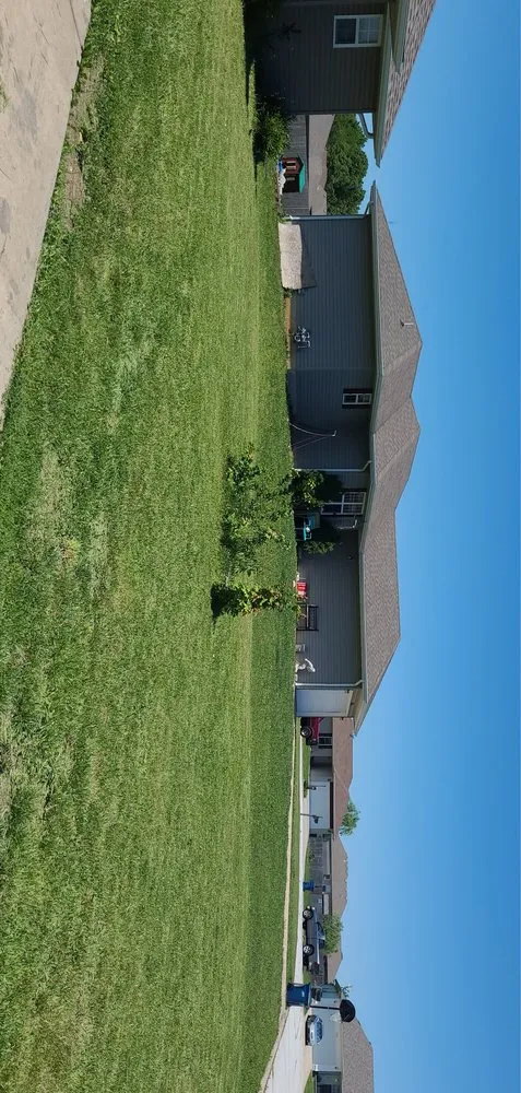 Custom yard cleanup service experts serving Springfield, MO - Mow & Go Solutions