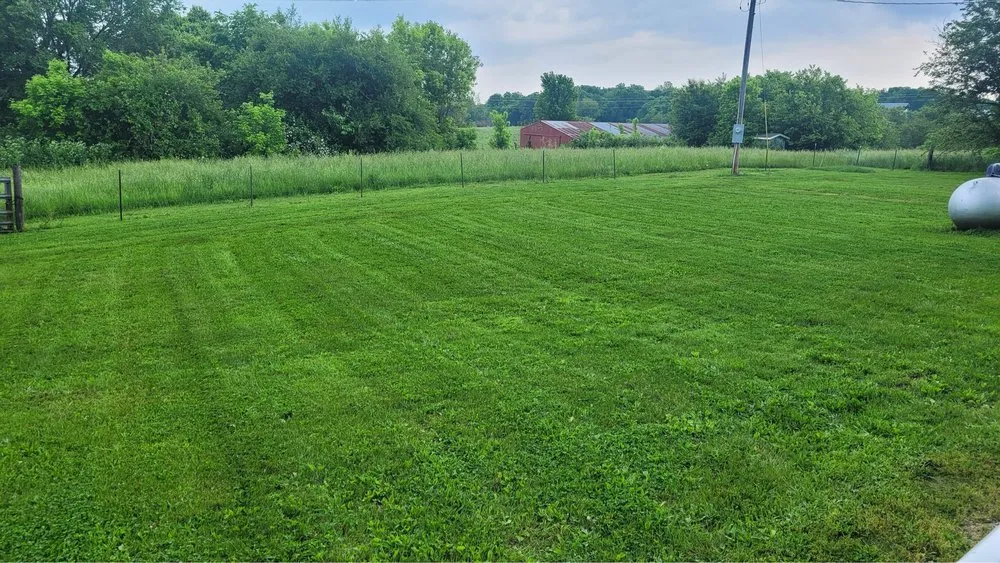 Custom yard cleanup service in Springfield, MO by Mow & Go Solutions