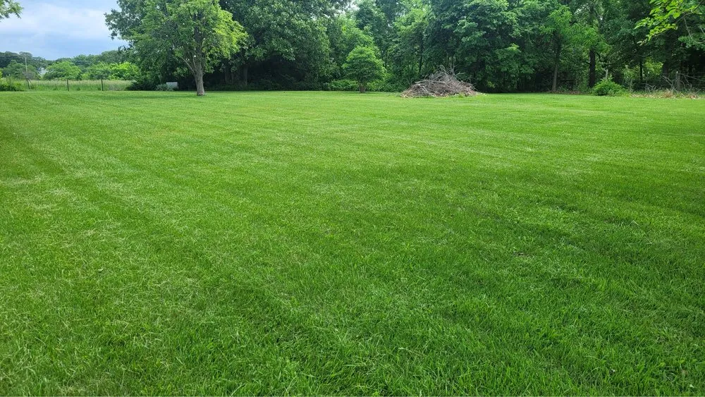 Trusted landscape installation in Springfield, MO - Mow & Go Solutions